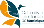 logo CTM