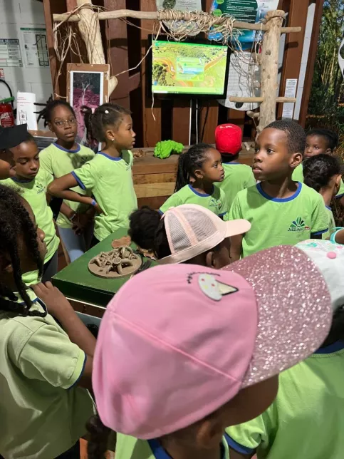 sortie scolaire mangrove élémentaire St JPII Espérance
