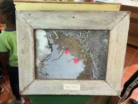 sortie scolaire mangrove élémentaire St JPII Espérance